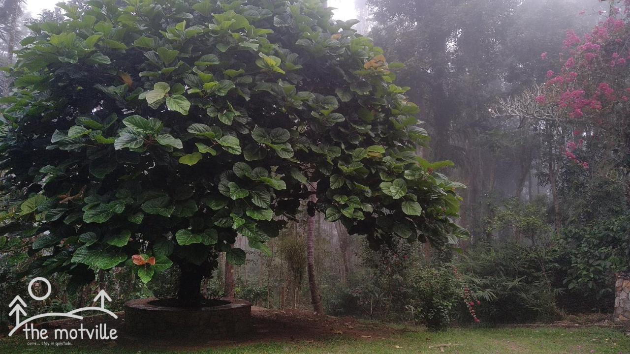 The Motville Pulpally المظهر الخارجي الصورة